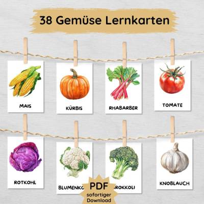 38 Gemüse Lernkarten für Kinder zum Ausdrucken, Bildkarten Gemüsesorten lernen