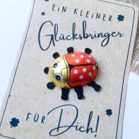 Druckvorlage kleiner Glücksbringer viel Glück selber ausdrucken Mitbringsel Kleinigkeit Gratuliere Geschenkidee Neujahr Bild 3