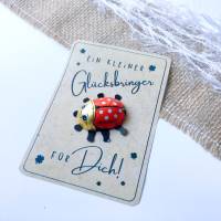 Druckvorlage kleiner Glücksbringer viel Glück selber ausdrucken Mitbringsel Kleinigkeit Gratuliere Geschenkidee Neujahr Bild 5