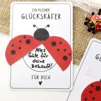 Druckvorlage Glückskäfer - Glücksbringer - ausdrucken - Grußkarte - Glückwunsch - Marienkäfer Bild 3