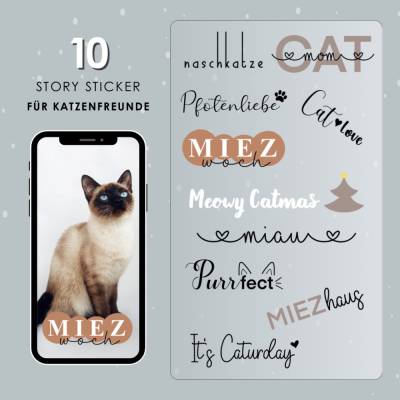10 Katzen-Story-Sticker (PNG) – kostenloser Download für echte Katzenfreunde