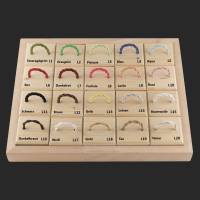 MetalLignum SunCat Tischleuchte – Katzenlampe aus Holz, beweglich & stilvoll Bild 8