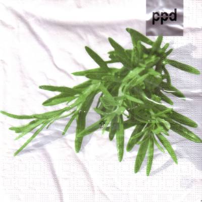 Lunchservietten Pure Rosemary, mit Rosmarinzweig, von ppd