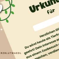 Geburtstag im Zoo für Kinder mit Tiermotiven | DIN A4 Schulausflug in den Zoo Bild 5