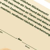 Geburtstag im Zoo für Kinder mit Tiermotiven | DIN A4 Schulausflug in den Zoo Bild 6