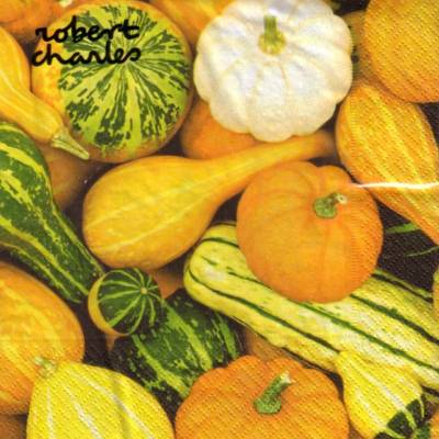 Lunchservietten Pumpkin, herbstliche Collage mit Kürbissen von Robert Charles