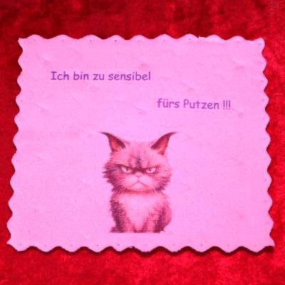 Schwamm Spültuch mit mürrischer Katze und Spruch