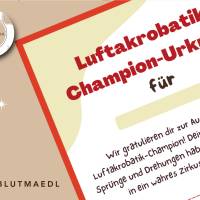 Personalisierte Trampolin Kindergeburtstags-Urkunde – A4 Mitgebsel, einfach ausdrucken & beschriften Bild 5