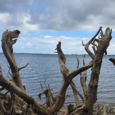 Einzigartige Fotos: Spende inklusive – Digital, Karte & Druck – Unterstützung für Tierschutz