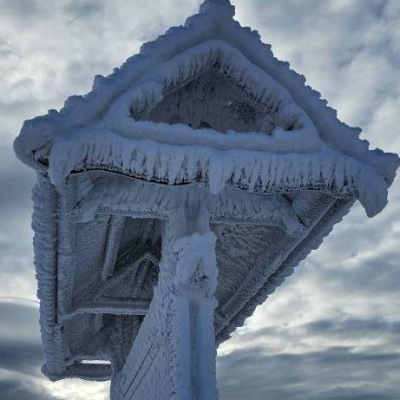 Digitale Fotosammlung mit Spende – Einzelfotos für Karte, Druck & mehr