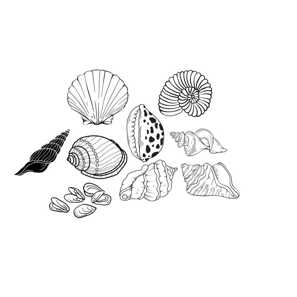 Meeres Muscheln Sea shells Bundle PNG SVG Datei - Download Plotterdatei - svg png Datei - Plotter File - Plotter Cricut Bild 1