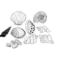 Meeres Muscheln Sea shells Bundle PNG SVG Datei - Download Plotterdatei - svg png Datei - Plotter File - Plotter Cricut Bild 1