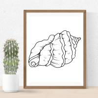 Meeres Muscheln Sea shells Bundle PNG SVG Datei - Download Plotterdatei - svg png Datei - Plotter File - Plotter Cricut Bild 5
