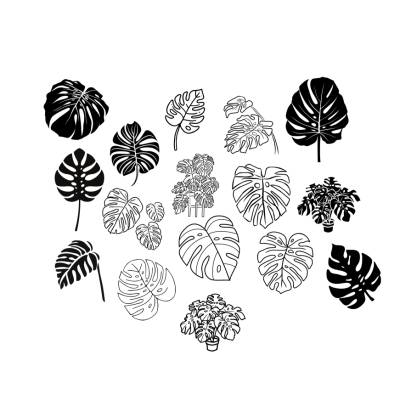 Monstera Bundle PNG SVG Datei - Download Plotterdatei - Plotter File - Pflanze Plant Fensterblätter Monkey Leaf