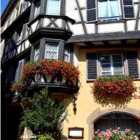 Colmar - Zauberhafte Stadt im Elsass – Kalender 2026 Bild 6