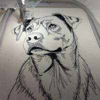 Ridgeback Konturen 12-14*18cm Bild 2