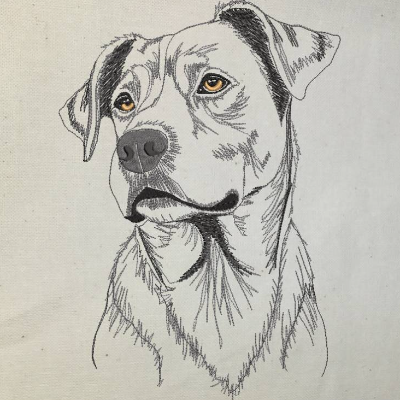 Ridgeback Konturen 14*14 bzw. 15*15cm