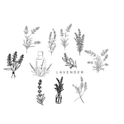 Lavendel Lavender Bundle PNG SVG Datei - Download Plotterdatei - Plotter File - Blumen Flower Botanische