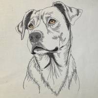 Ridgeback Konturen 18*18 bzw. 20*20cm Bild 1