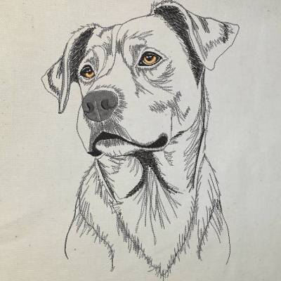 Ridgeback Konturen 20x26-30cm, 21*40cm EXP