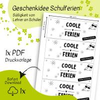 Druckvorlage Abschiedsgeschenk Schulferien, Ferienstart, Geschenk Zeugnis, für Schüler, Ende Schuljahr, coole Ferien Bild 3