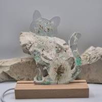 Katze mit Pusteblume Mint Bild 5
