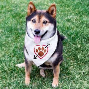 Stickdatei Hunde Pfote mit Pfeil im Herz in 6 Größen, Maschinenstickerei, Stickmuster mit Hundemotiv Bild 7