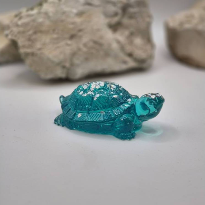 Kleine Schildkröte Türkis