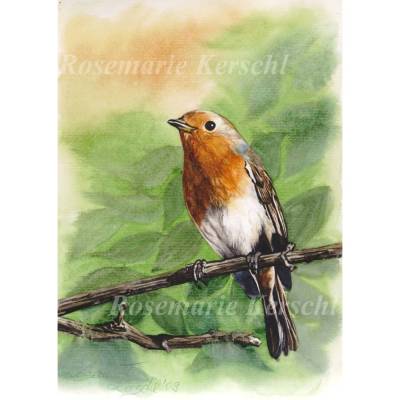 Rotkehlchen Aquarellbild handgemalt – 40 x 30 cm Hochformat – Unikat von Galerie Rosemarie Kerschl