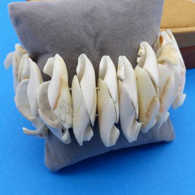 elastisches Armband, 17 cm, natur, Muschelarmband, Muschestücke, Sommerlook