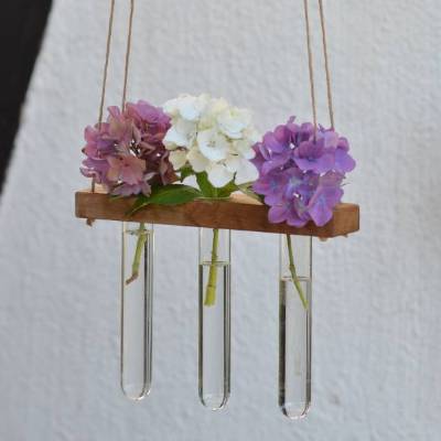 Pflanzen Vermehrungsstation zum aufhängen Stecklinge Ableger Blumenvase 