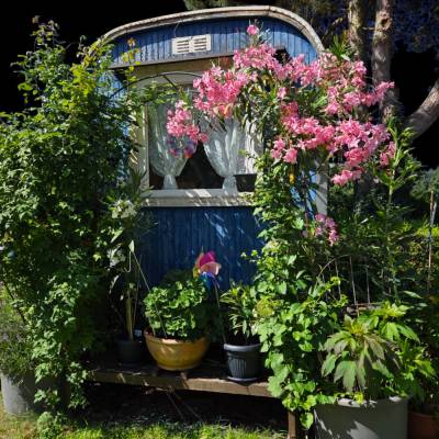 Alter Bauwagen im Wandel der Jahreszeitenzum Download“