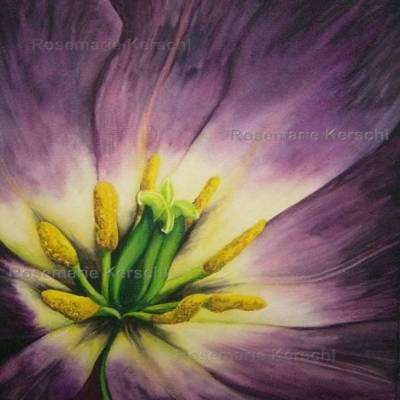 Aquarellbild Lila Tulpe handgemalt – Brombeer, Lila, Gelb & Grün – 39 x 28 cm Unikat Hochformat