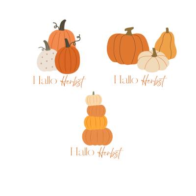 Hallo Herbst Kürbis Bundle PNG SVG Datei - Download Plotterdatei Plotter File - Herbst Fall Kürbis Autumn Pumpkin Season