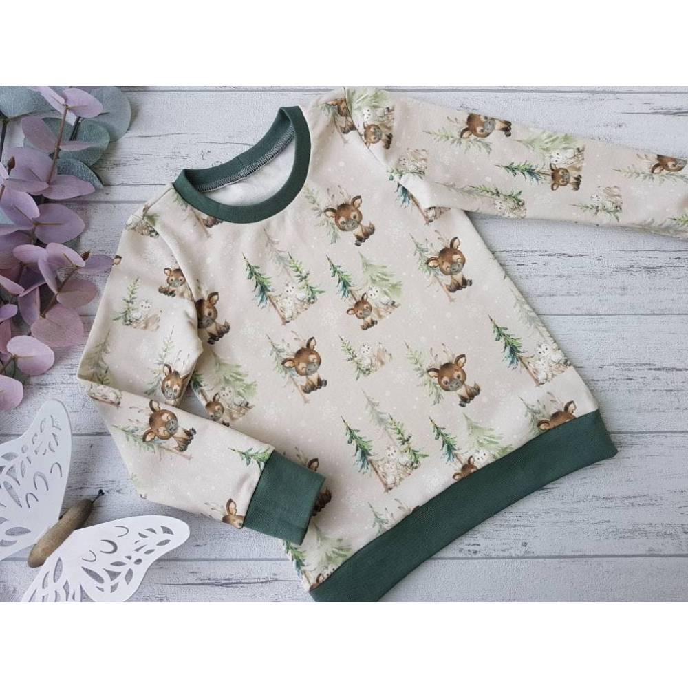 Bio-Sweatshirt mit Rentier und Eule für Kinder – Wunschgröße 74