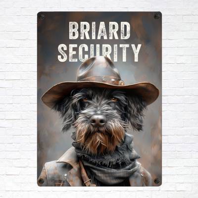 Hundeschild 'Briard Security', wetterbeständiges Warnschild