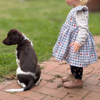 Das Birnchen (TB) Bild 4