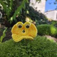 Häkelanleitung für ,,Glubschi Willy's