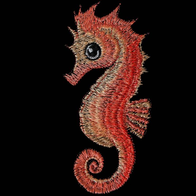 Seepferdchen Konturen 10*10cm