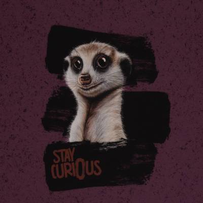 French Terry Panel mit Erdmännchen