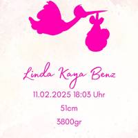 Mädchen Babykarte DIN A5 mit Storch personalisiert – Namen, Geburtsdaten & Gruß der Eltern Bild 1