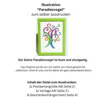 Illustration, Postkarte, Poster, Paradiesvogel, handgemalt, PDF Download Bild 4