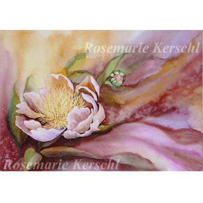 Pfingstrose Aquarell – Original Handgemaltes Unikat 35 x 48 cm Querformat
