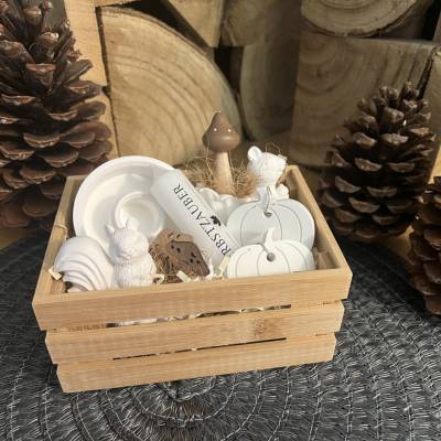 Herbstzauber Geschenkset handgemachte Raysin-Deko mit Eichhörnchen Kürbissen & Kerzenlicht