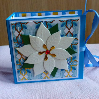 Weihnachtliches-Teebeutelbüchlein,Mitbringsel,Geschenk,Weihnachtsstern