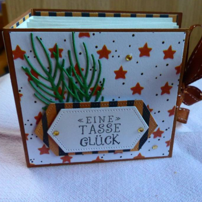 Weihnachtliches-Teebeutelbüchlein,Mitbringsel,Geschenk,Weihnachtsstern