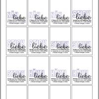 Stickdateien Handarbeitsliebe ab 10x10 Rahmen – 22 Scribble Motive mit Schriftzügen – Doro-Collection Bild 6