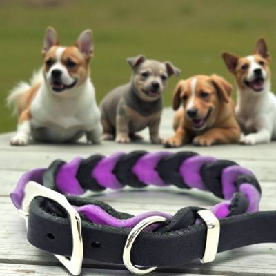 Hundehalsband aus Fettleder in schwarz pink verstellbar Halsumfang ca. 24 - 30 cm