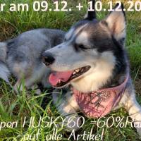 Husky mit Schneemann 12-14x18cm – Winterliche Eleganz für Deine Stickprojekte Bild 2