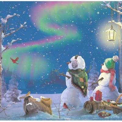 Reispapier, Decoupage, Serviettentechnik, Nothern Lights / Nordlichter, A4, CBRP130